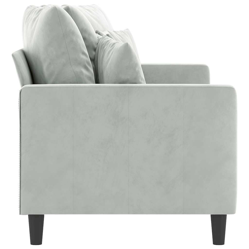 Light Gray Velvet 2-Seater Sofa D2163