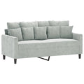 Light Gray Velvet 2-Seater Sofa D2163