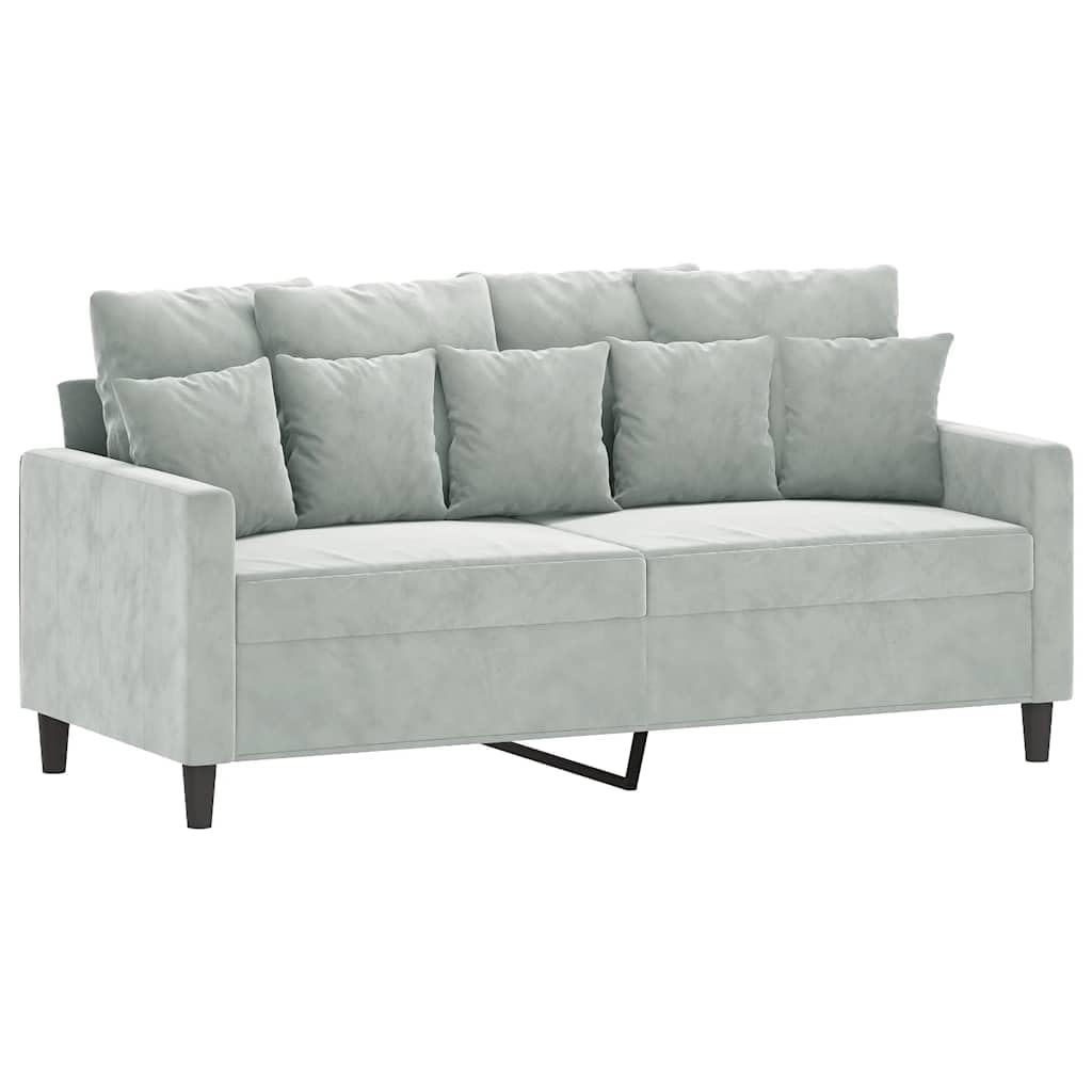 Light Gray Velvet 2-Seater Sofa D2163