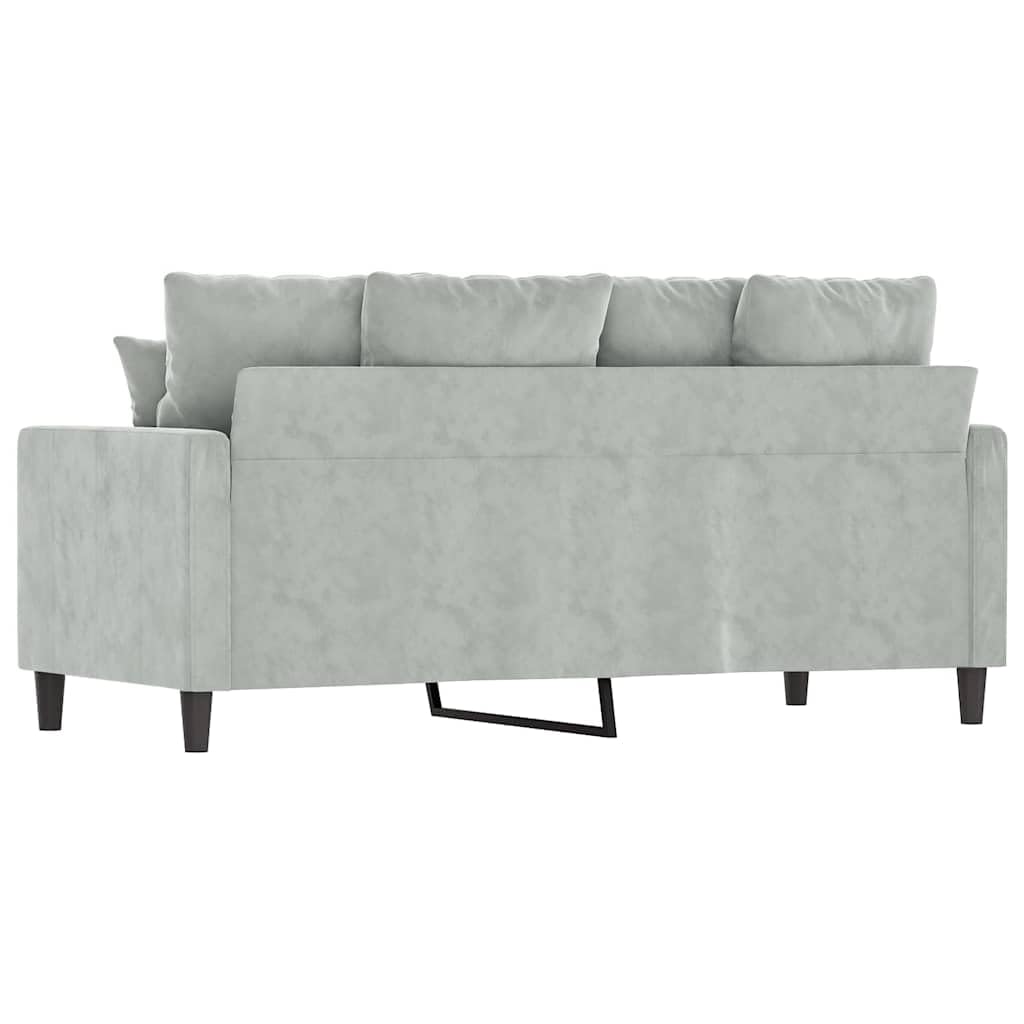 Light Gray Velvet 2-Seater Sofa D2163