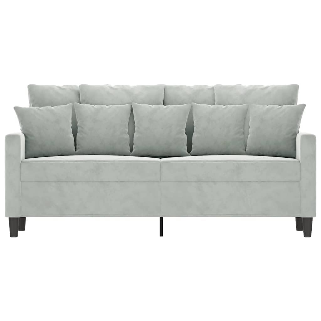 Light Gray Velvet 2-Seater Sofa D2163