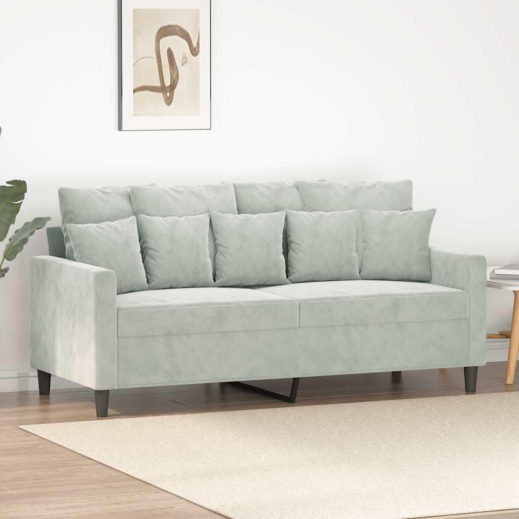 Light Gray Velvet 2-Seater Sofa D2163