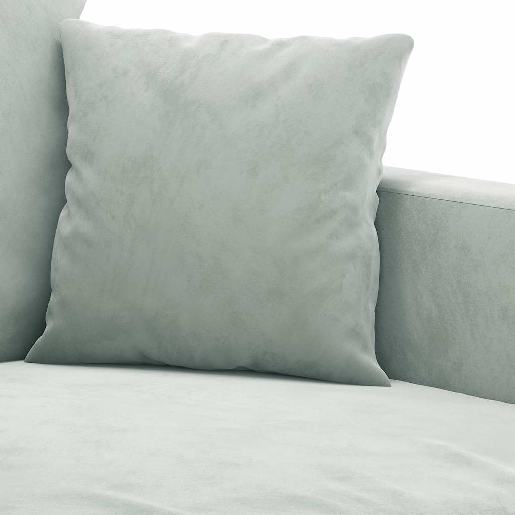 Light Gray Velvet 2-Seater Sofa D2163