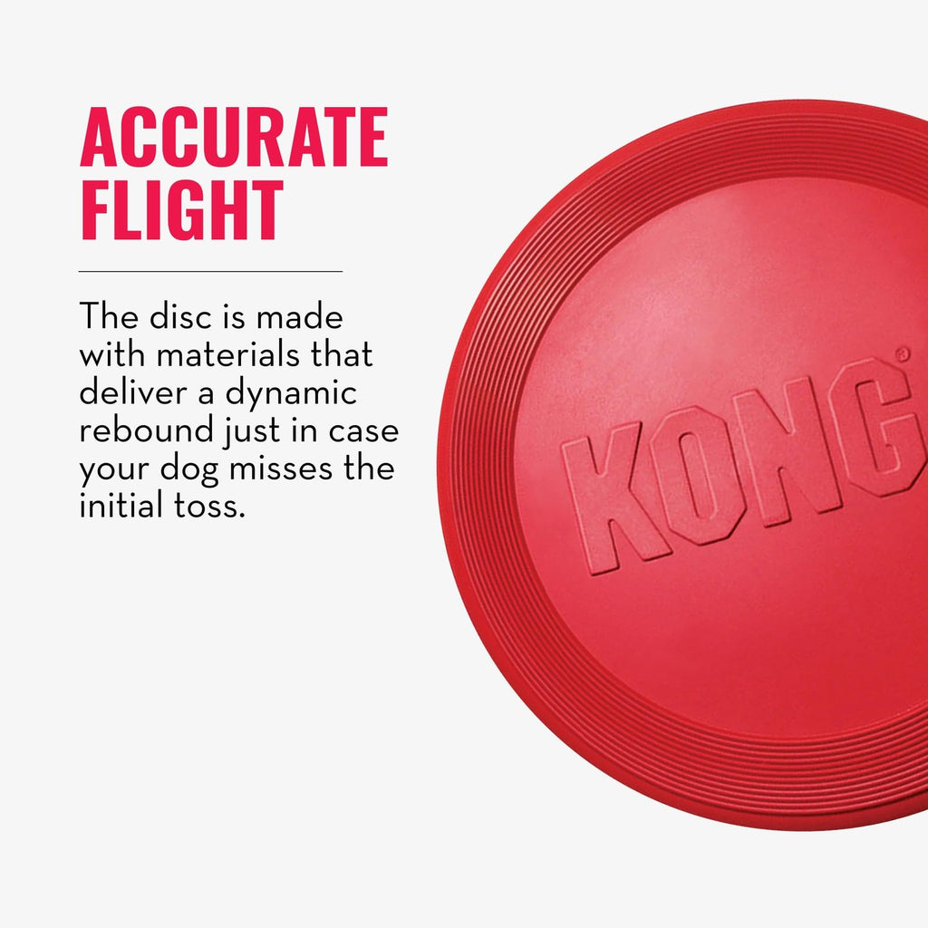 Natural Rubber Flying Disc Fetch Toy A908102