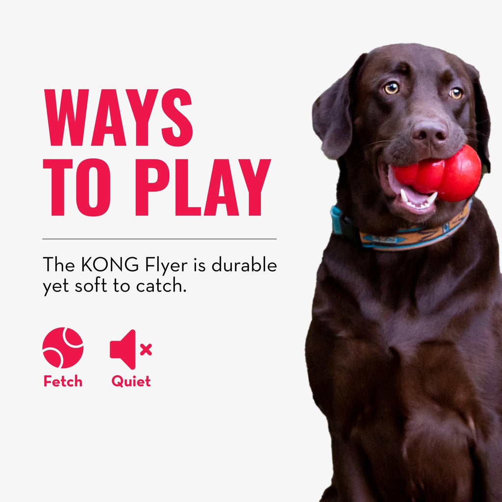 Natural Rubber Flying Disc Fetch Toy A908102