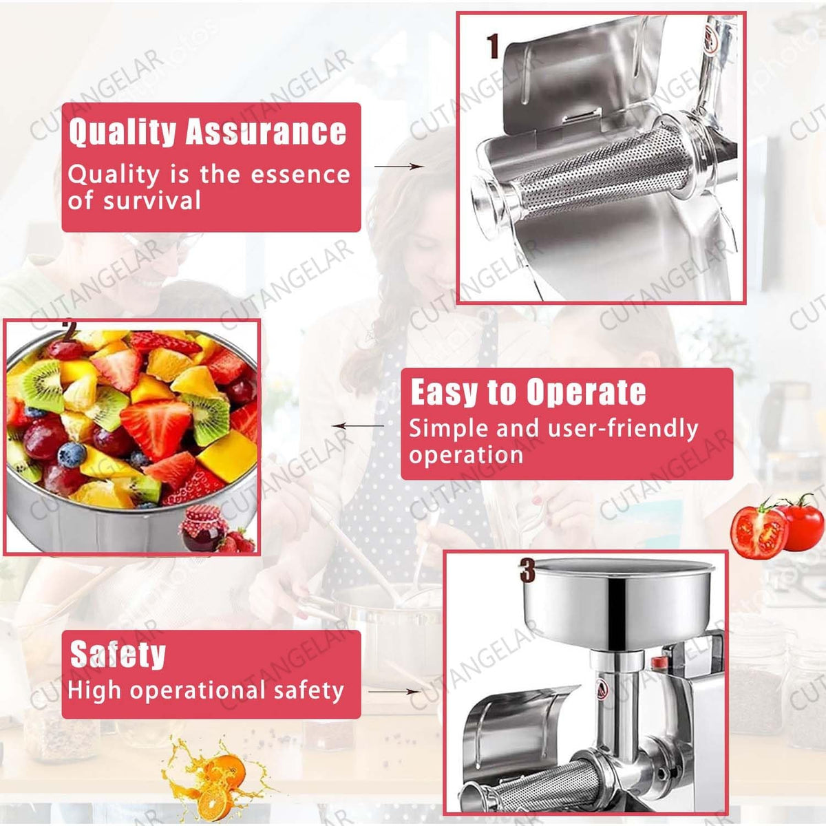 450W Stainless Steel Electric Sauce Maker M701383