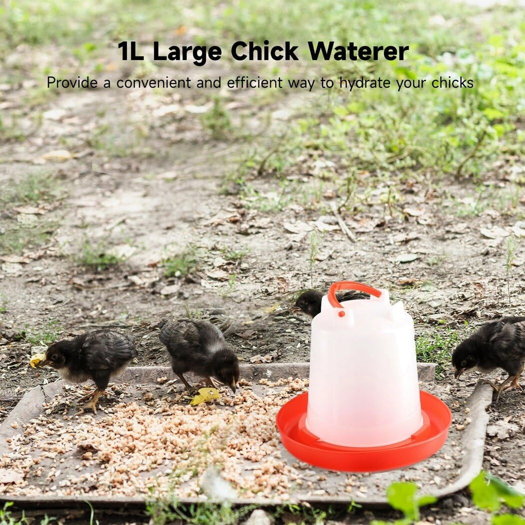 4-Pack 1L Poultry Waterer with Handle O28760
