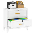 White 2 Drawer Metal Lateral File Cabinet with Lock D4522