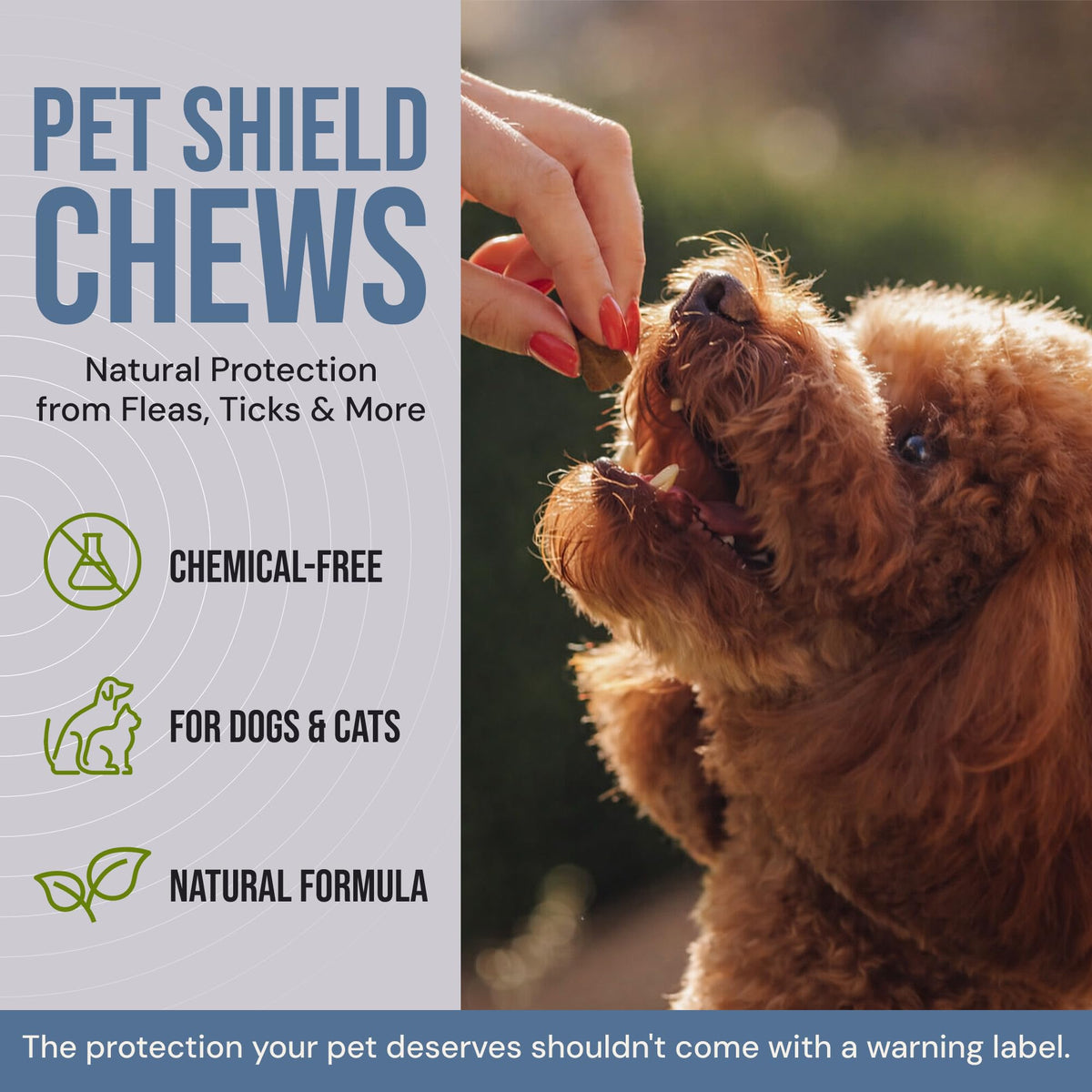 Natural Flea & Tick Prevention Soft Chews Z1186