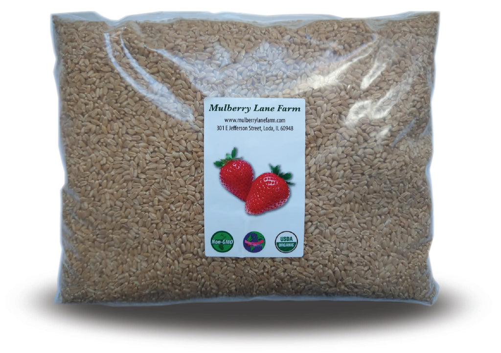 Hard White Wheat Berries 5 Pounds Organic Non-GMO U520012