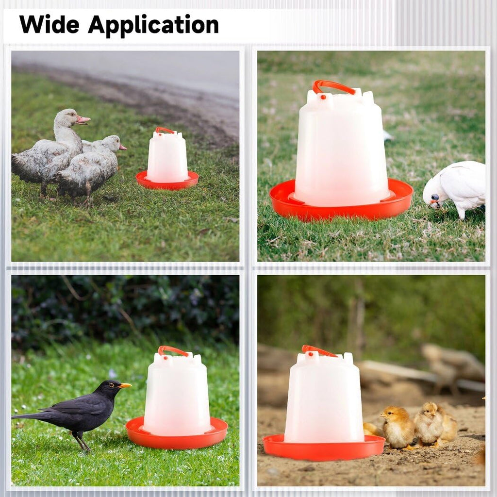 4-Pack 1L Poultry Waterer with Handle O28760