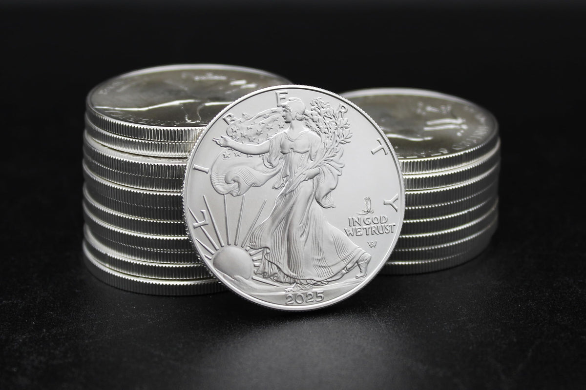 1 oz American Silver Eagle Coin L5300