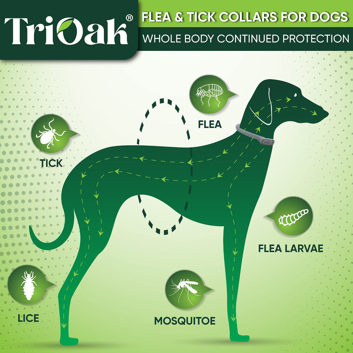 Adjustable Flea and Tick Prevention Dog Collar G504176