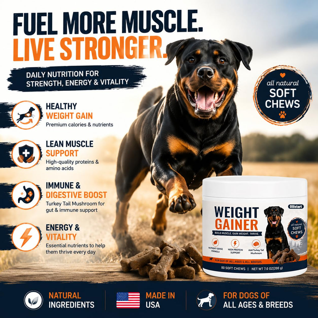 High Calorie Dog Weight Gainer Chews Q498175