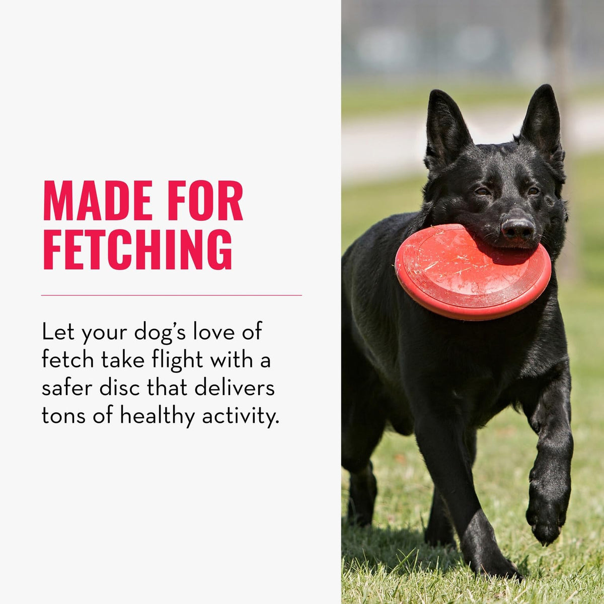 Natural Rubber Flying Disc Fetch Toy A908102