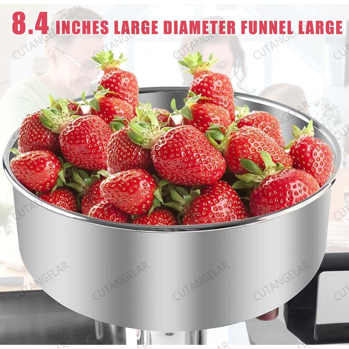450W Stainless Steel Electric Sauce Maker M701383