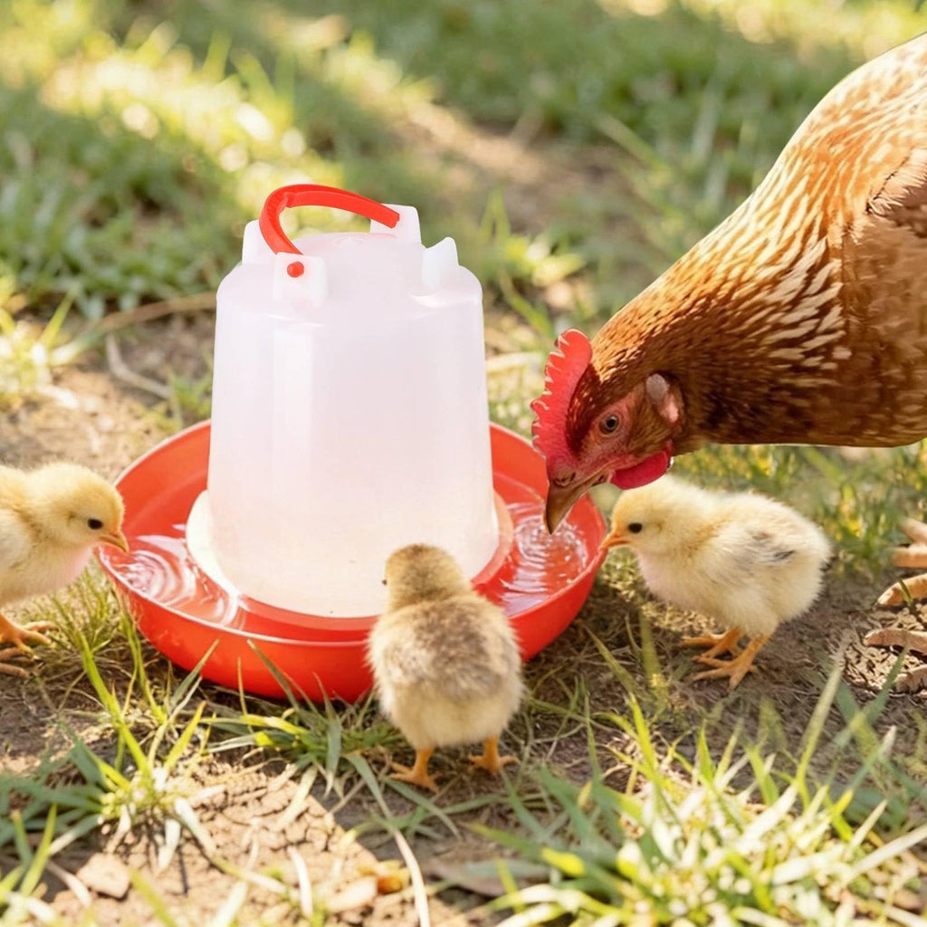 4-Pack 1L Poultry Waterer with Handle O28760