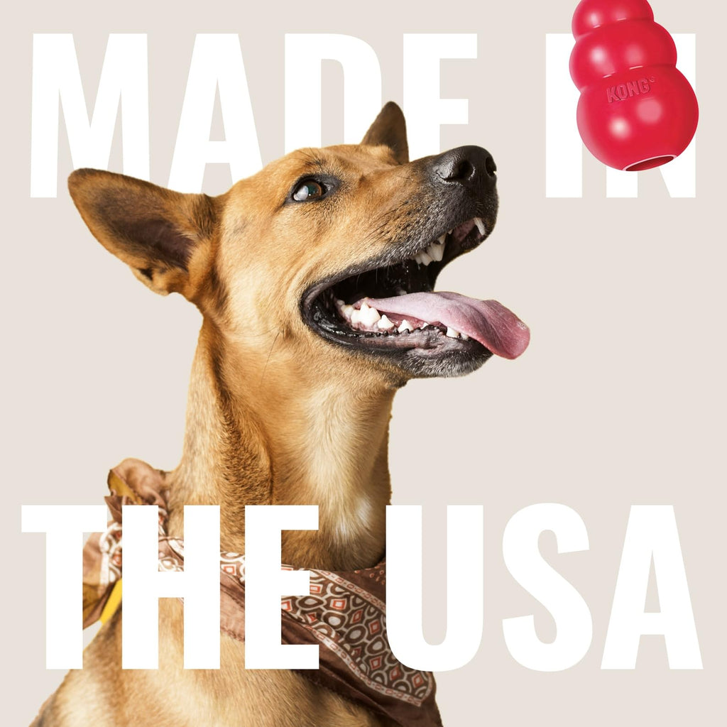 Natural Rubber Flying Disc Fetch Toy A908102