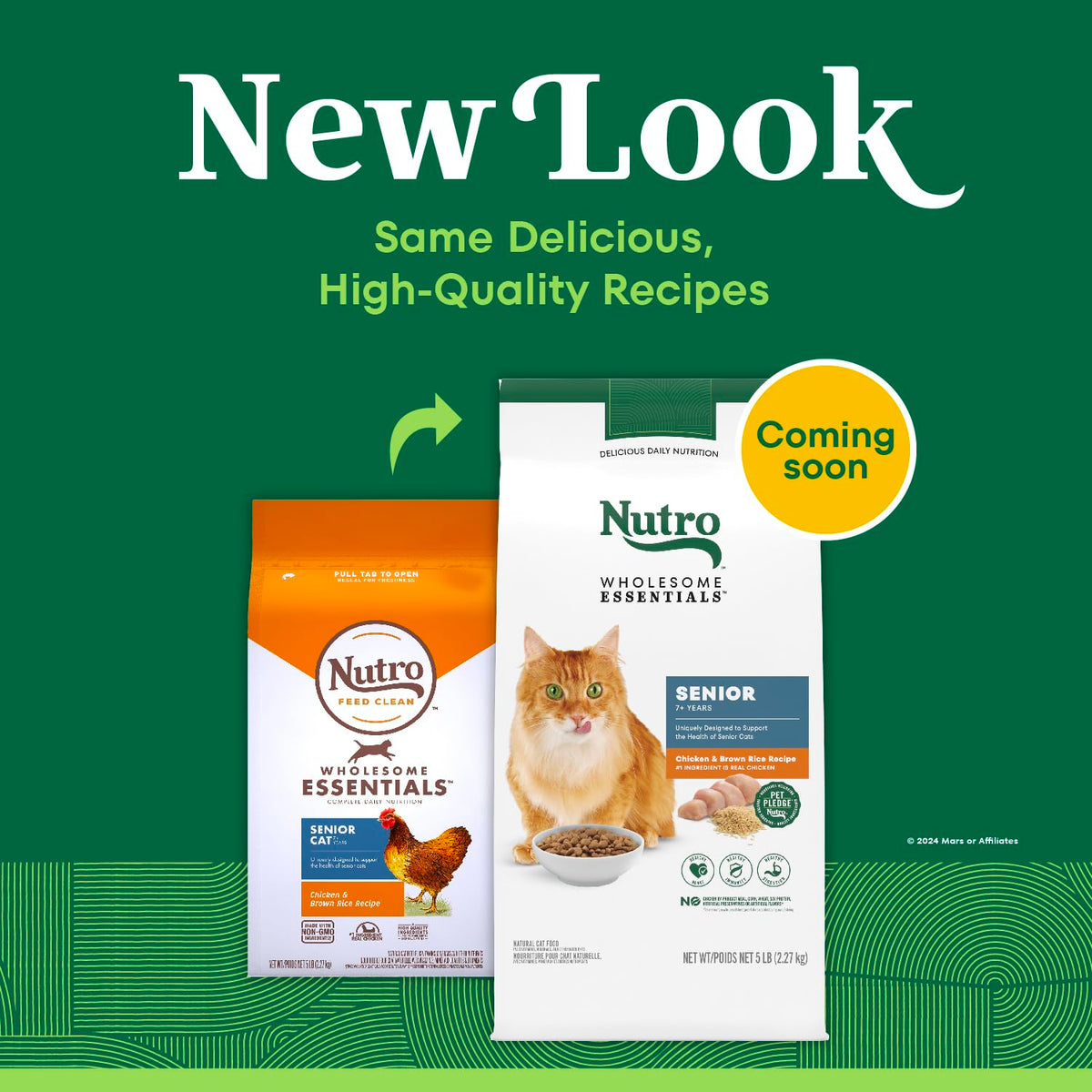 Senior Dry Cat Food Chicken & Rice 5 lb N55378