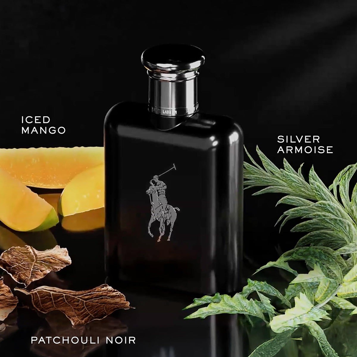 Black Eau de Toilette P76781