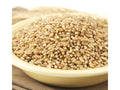 Hard Wheat Berries 50-Pound X73829