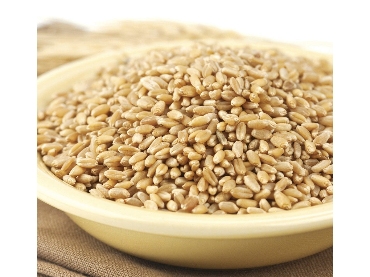 Hard Wheat Berries 50-Pound X73829