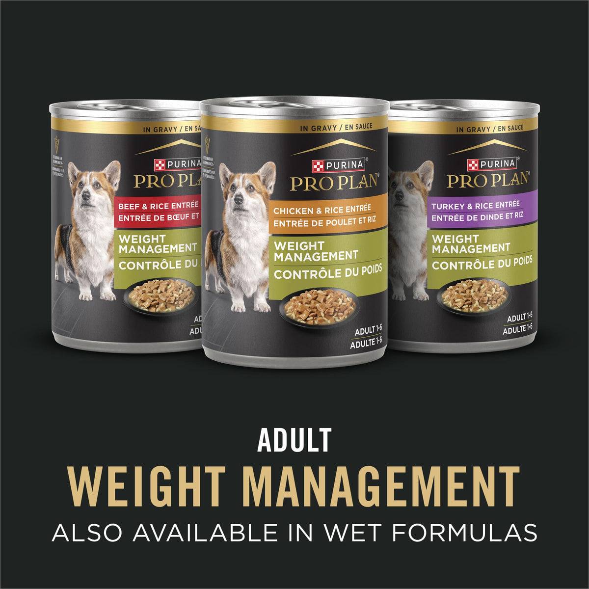 Adult Weight Management Dry Dog Food Chicken 6 lb V92384