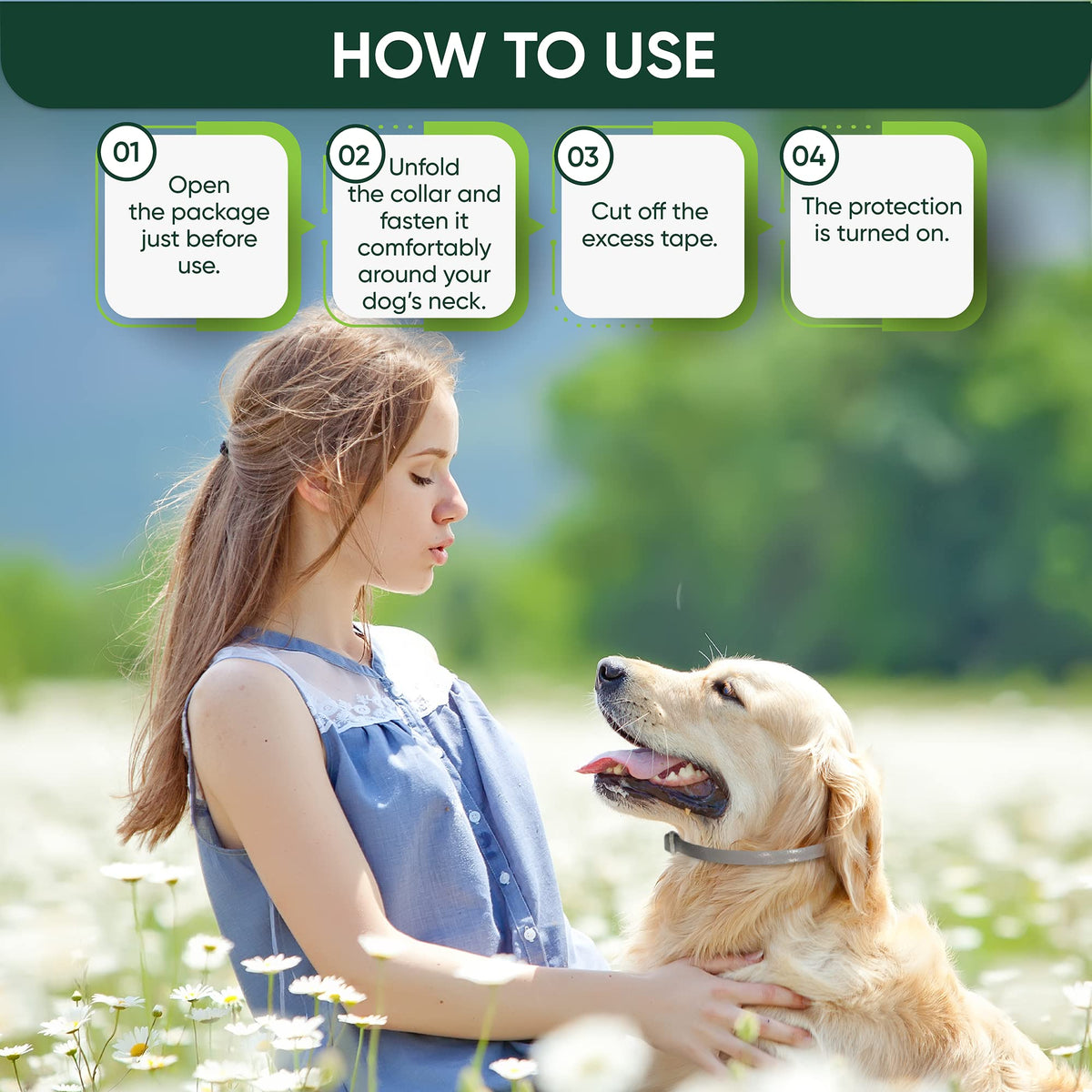 Adjustable Flea and Tick Prevention Dog Collar G504176