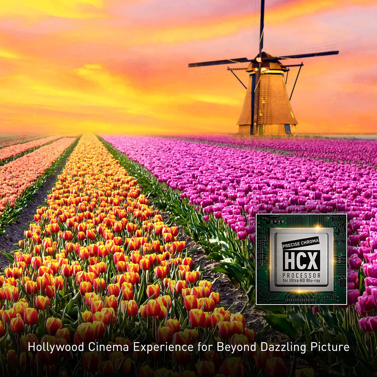 4K Blu Ray Player D8487