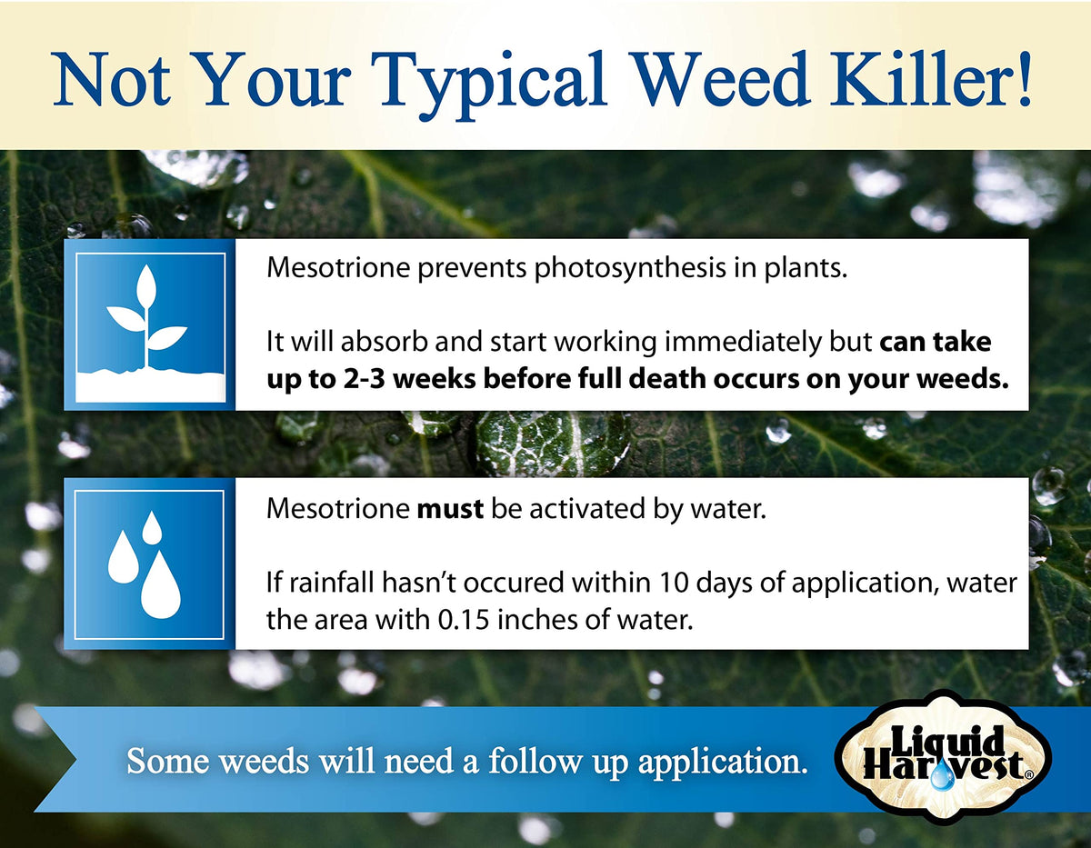 Non Ionic Surfactant 16oz and Mesotione 8oz Weed Killer V2298