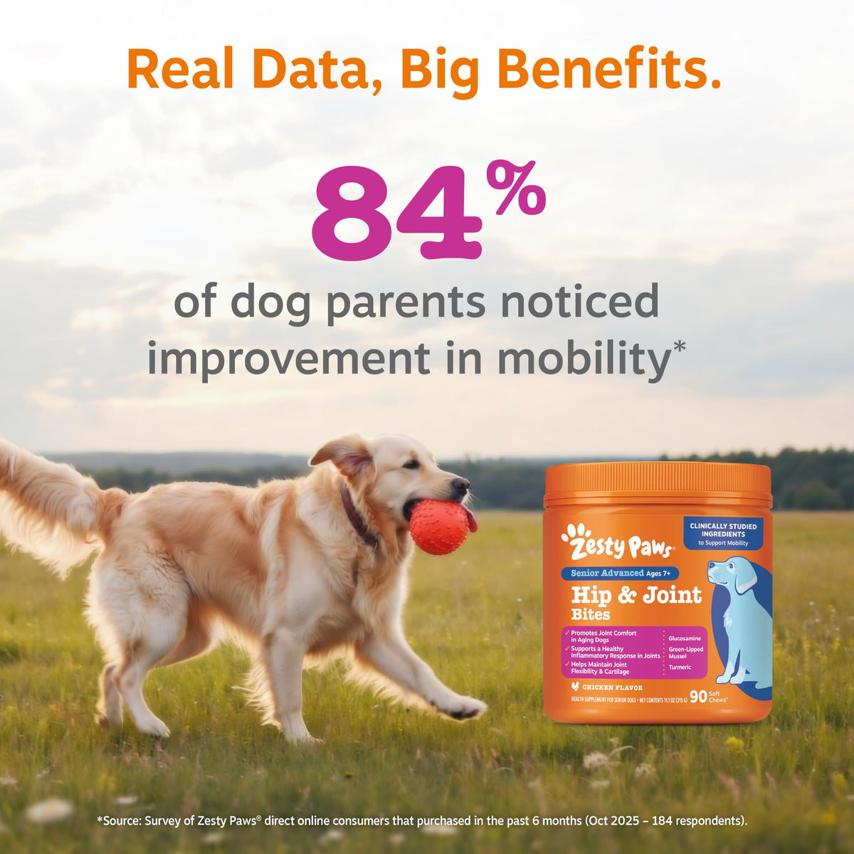 Chicken 90ct Dog Joint Supplement J66944