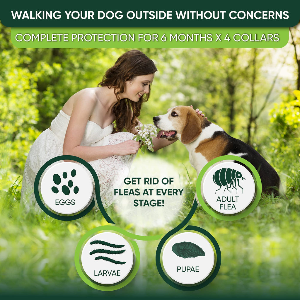 Adjustable Flea and Tick Prevention Dog Collar G504176