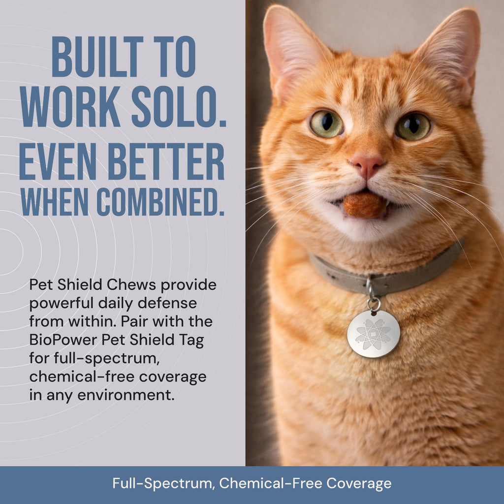 Natural Flea & Tick Prevention Soft Chews Z1186