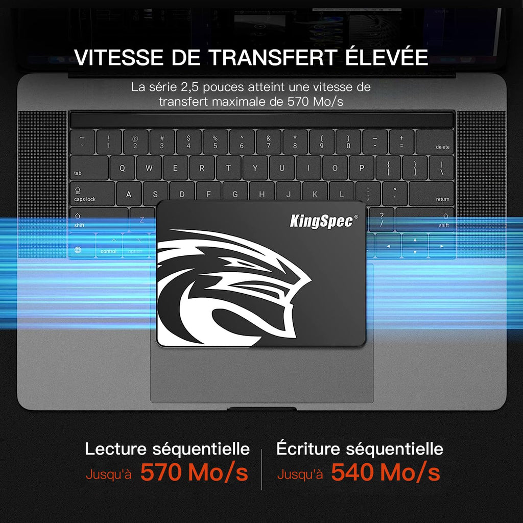 1TB 2.5" SATA III Internal Solid State Drive V24550