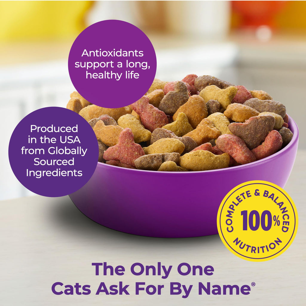 Dry Cat Food and Wet Cat Food Variety Pack B367352