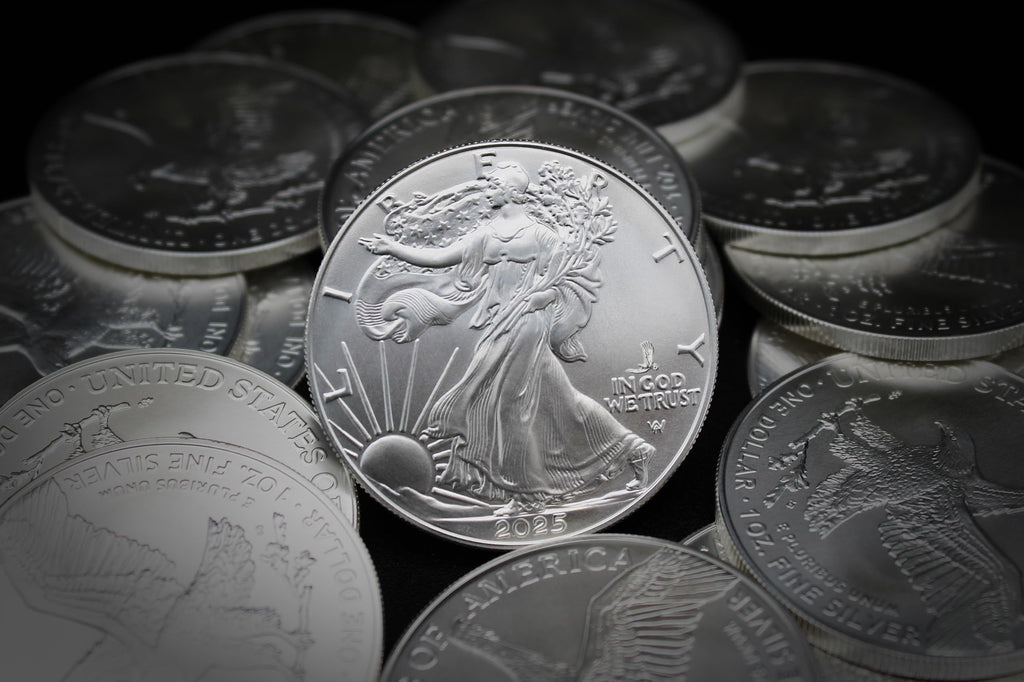 1 oz American Silver Eagle Coin L5300