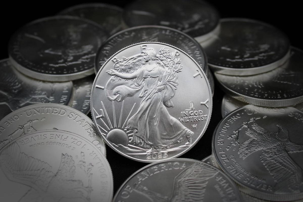 1 oz American Silver Eagle Coin L5300