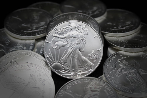 1 oz American Silver Eagle Coin L5300