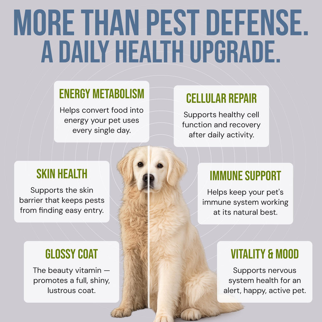 Natural Flea & Tick Prevention Soft Chews Z1186