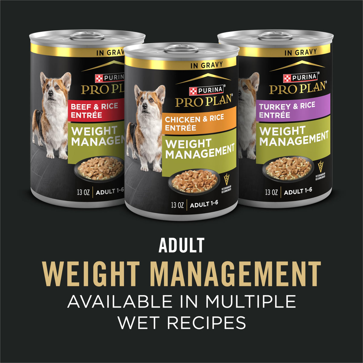 Adult Weight Management Dry Dog Food Chicken 6 lb V92384