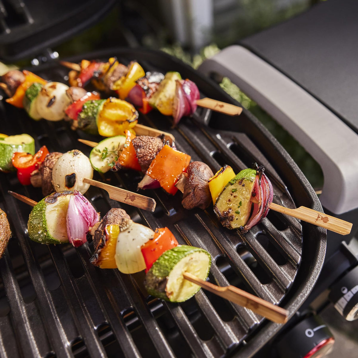 Portable Propane Grill M14773