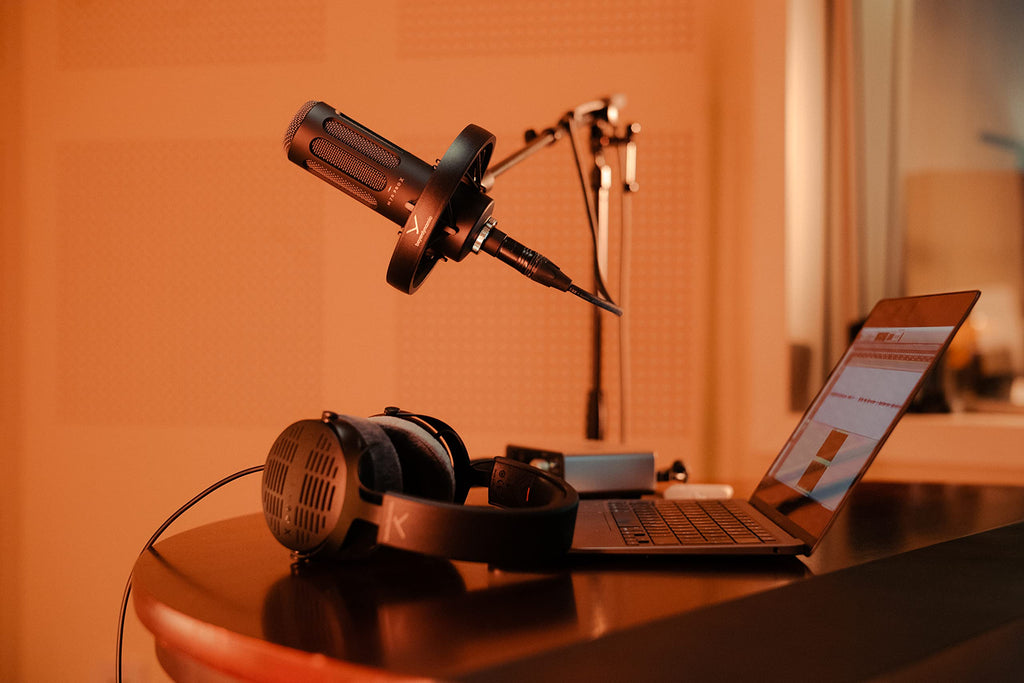 Dynamic Broadcast Microphone D11211