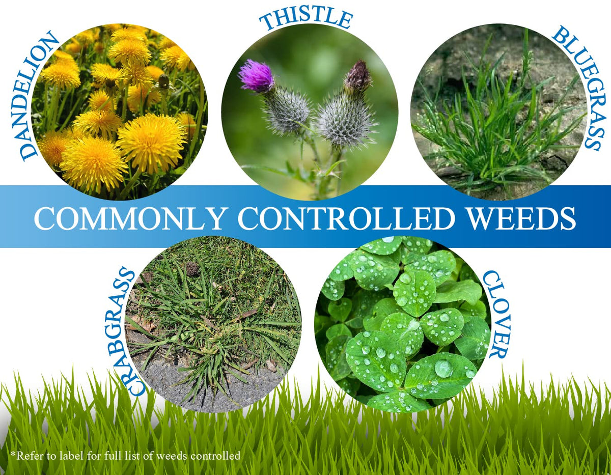 Non Ionic Surfactant 16oz and Mesotione 8oz Weed Killer V2298