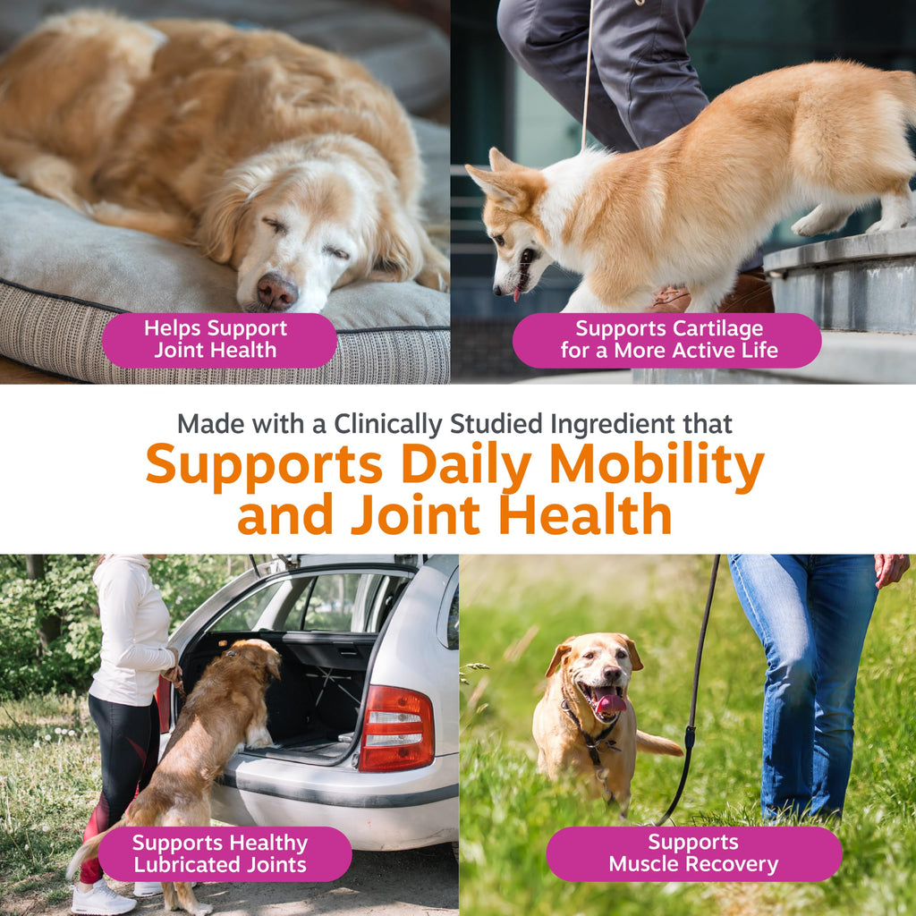 Chicken 90ct Dog Joint Supplement J66944