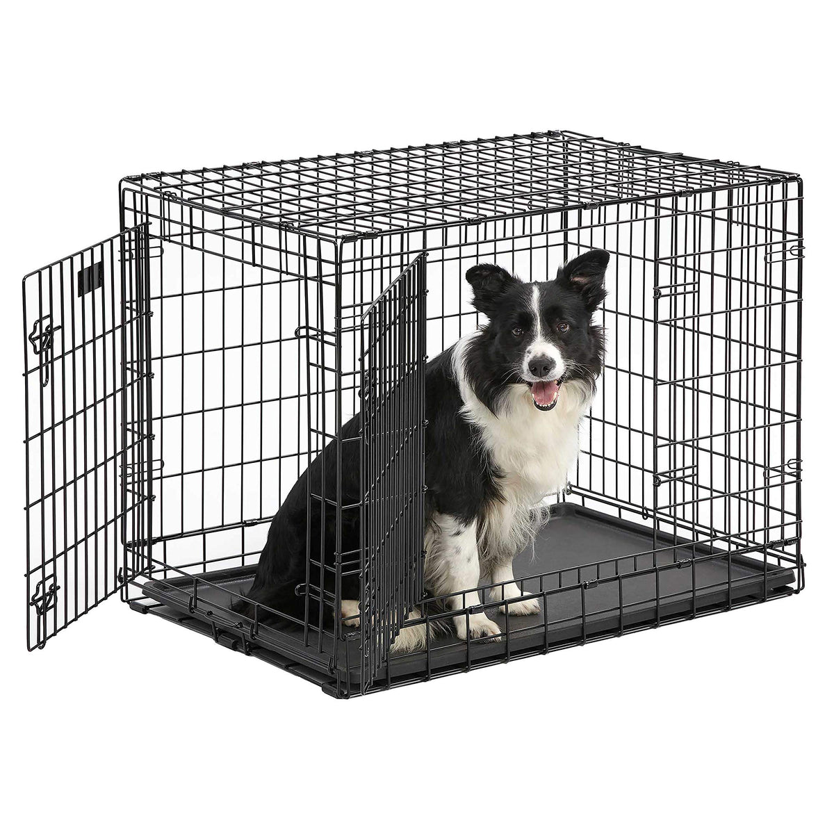 36-Inch Double Door Dog Crate C422